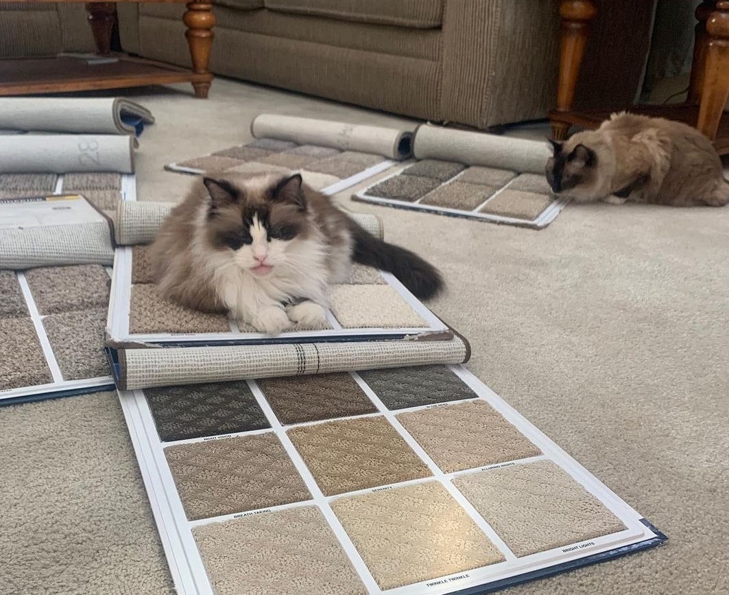 Five-must-have-2 Five-must-have-2