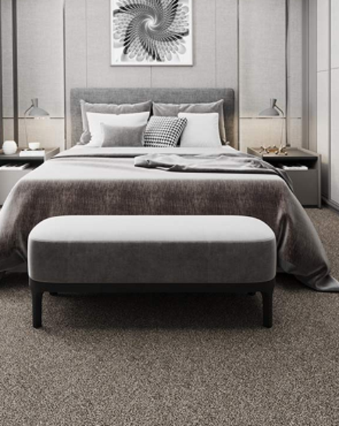 Best Carpet for your Home