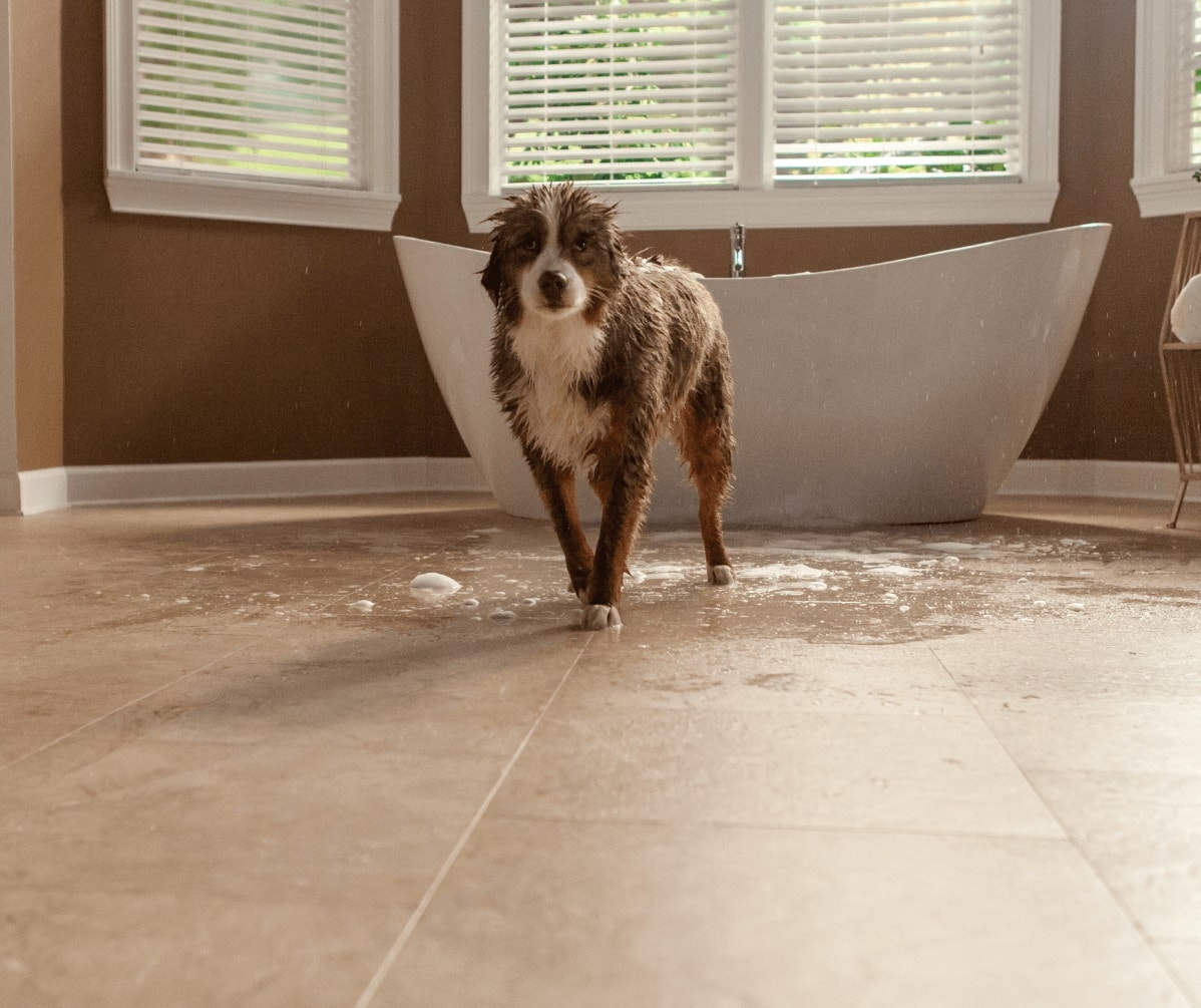 Luxury-VP-VT-2 Luxury-VP-VT-2