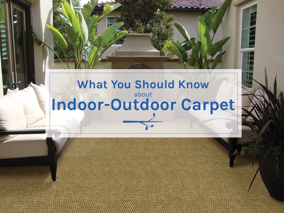What-You-Should-Indoor-Outdoor-1.jpg