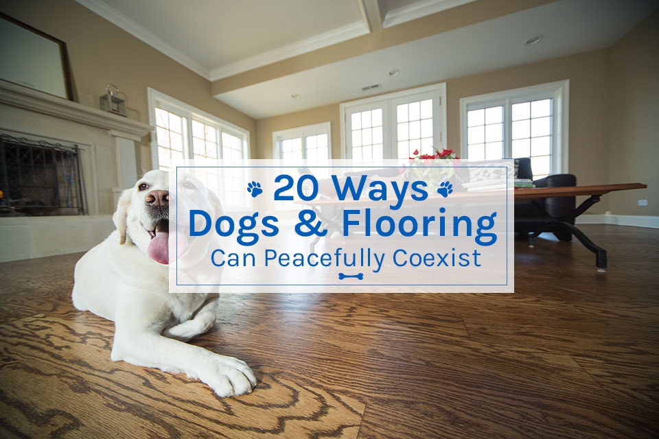 20-ways-1.jpg